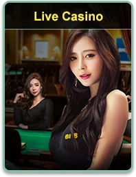 Mesa de roleta ao vivo no 80PMBET cassino com dealer ao vivo.